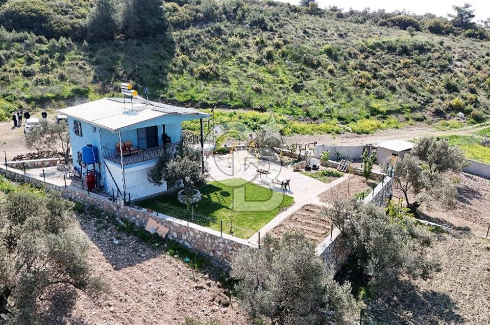 Aliağa Helvacı Satılık Arazi.