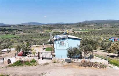Aliağa Helvacı Satılık Arazi.