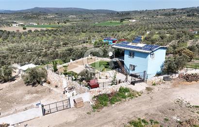 Aliağa Helvacı Satılık Arazi.