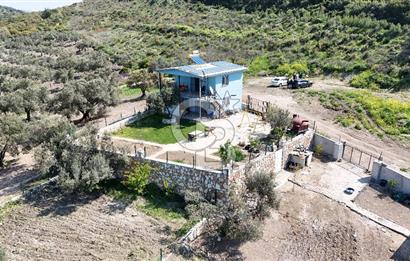 Aliağa Helvacı Satılık Arazi.