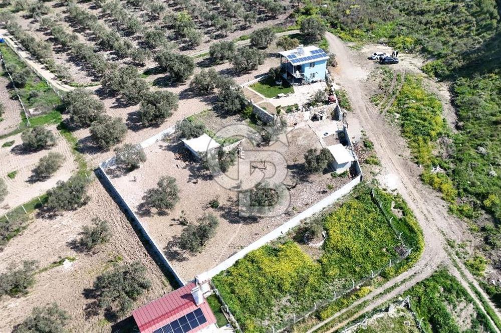 Aliağa Helvacı Satılık Arazi.
