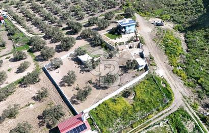Aliağa Helvacı Satılık Arazi.