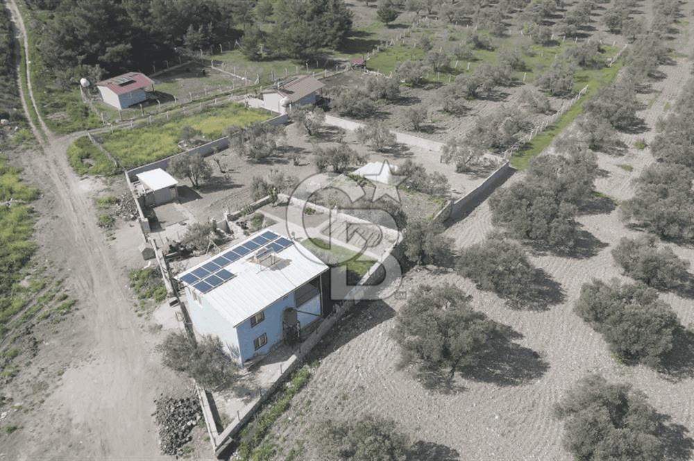 Aliağa Helvacı Satılık Arazi.
