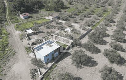 Aliağa Helvacı Satılık Arazi.