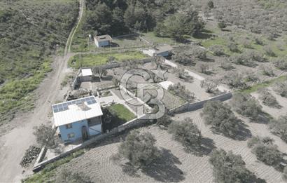 Aliağa Helvacı Satılık Arazi.