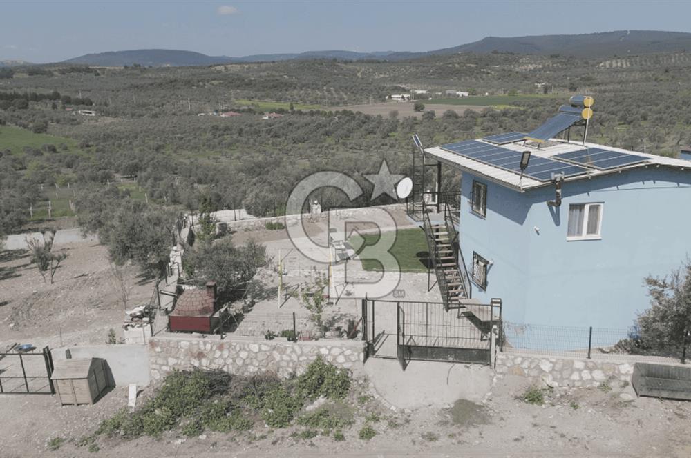 Aliağa Helvacı Satılık Arazi.