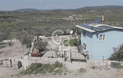 Aliağa Helvacı Satılık Arazi.