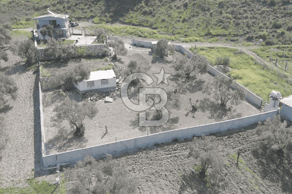 Aliağa Helvacı Satılık Arazi.