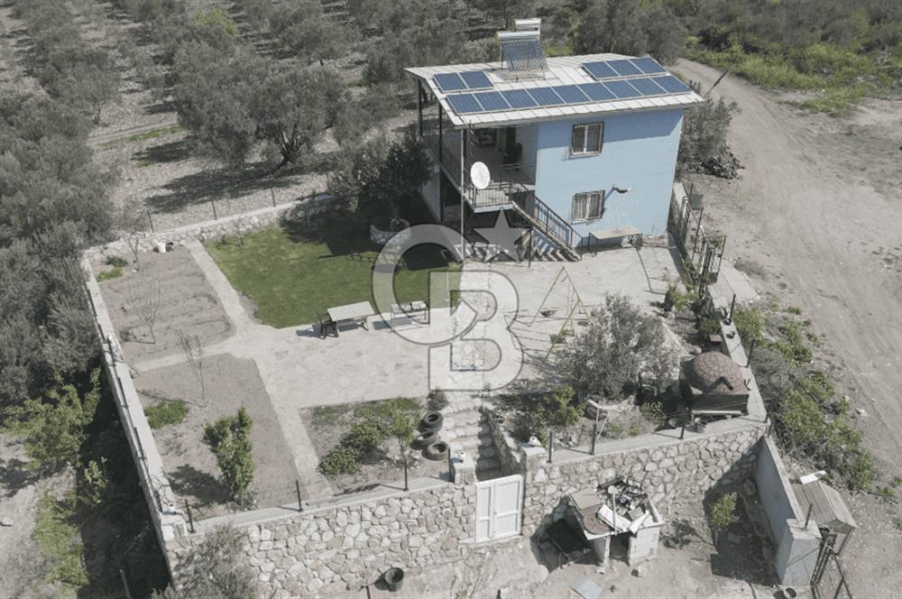 Aliağa Helvacı Satılık Arazi.