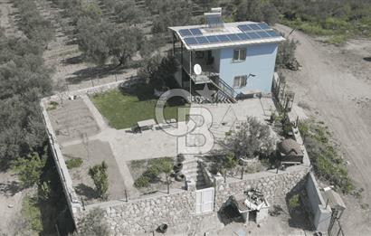 Aliağa Helvacı Satılık Arazi.