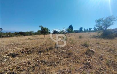 BURSA KELES KIRANIŞIKLAR SATILIK TARLA