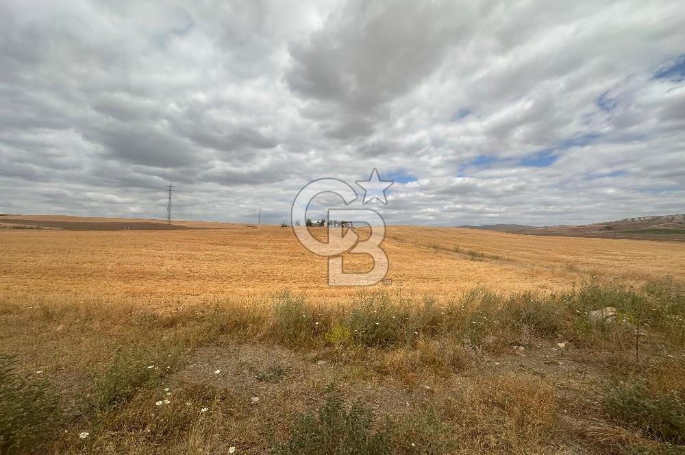 Temelli'de 5 Kat İzinli 0.75 Emsal 2776 m2 Satılık Müstakil Arsa