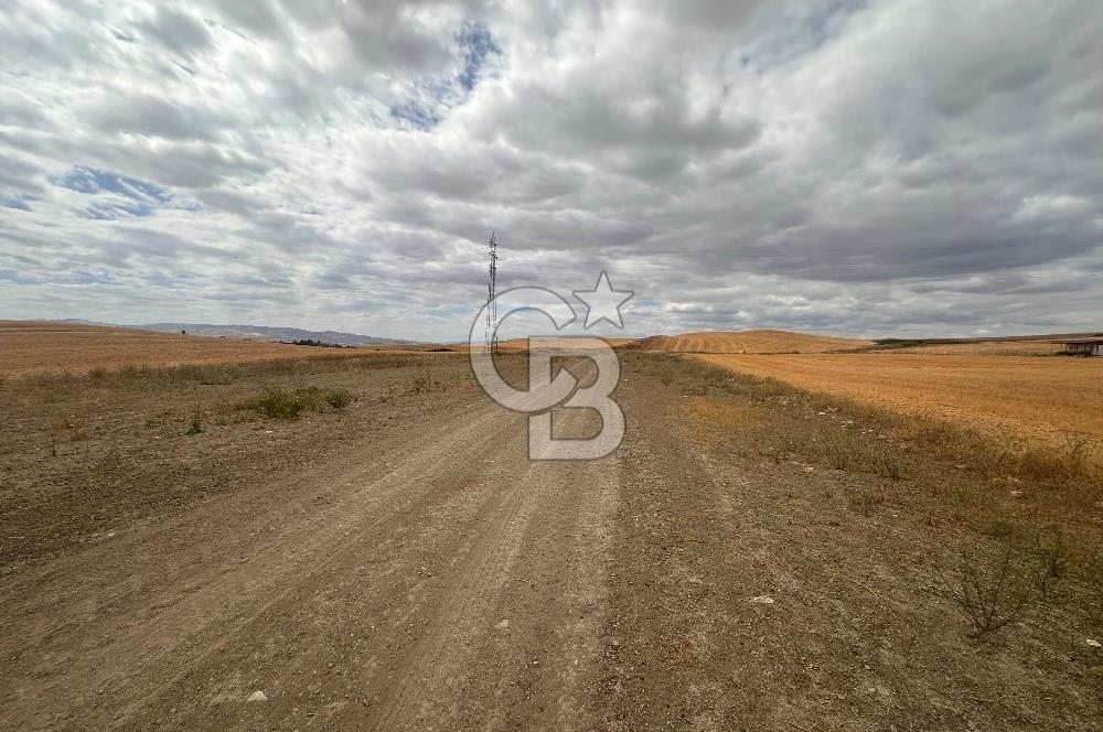 Temelli'de 5 Kat İzinli 0.75 Emsal 2776 m2 Satılık Müstakil Arsa