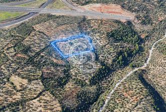 BERGAMA ZEYTİNDAĞ'DA İYİ KONUMDA SATILIK ZEYTİNLİK