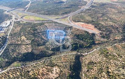 BERGAMA ZEYTİNDAĞ'DA İYİ KONUMDA SATILIK ZEYTİNLİK