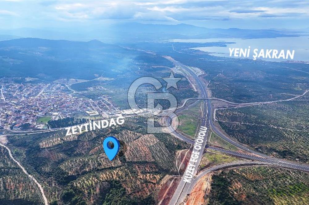 BERGAMA ZEYTİNDAĞ'DA İYİ KONUMDA SATILIK ZEYTİNLİK