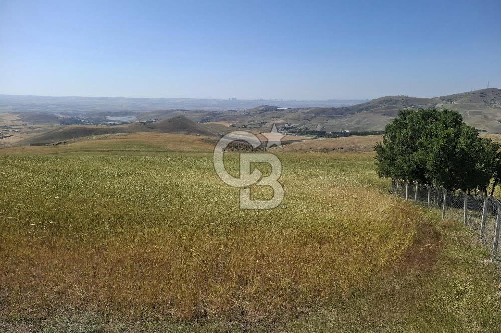 BEYNAMDA SATILIK 16.527 M2 TEK TAPU FIRSAT TARLA