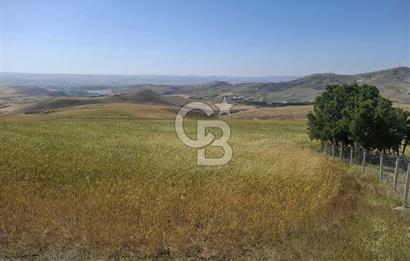 BEYNAMDA SATILIK 16.527 M2 TEK TAPU FIRSAT TARLA