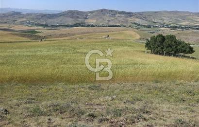 BEYNAMDA SATILIK 16.527 M2 TEK TAPU FIRSAT TARLA