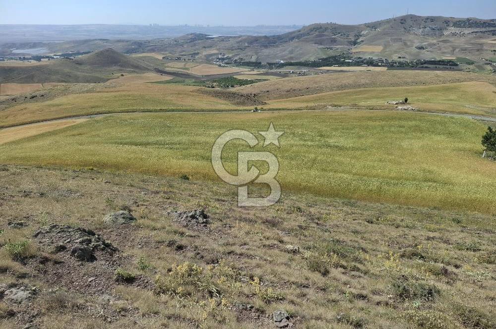 BEYNAMDA SATILIK 16.527 M2 TEK TAPU FIRSAT TARLA