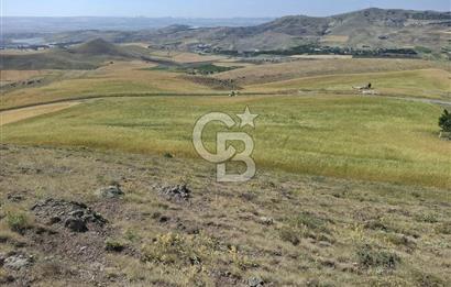 BEYNAMDA SATILIK 16.527 M2 TEK TAPU FIRSAT TARLA