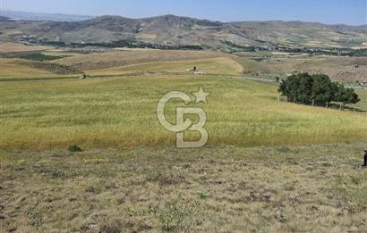 BEYNAMDA SATILIK 16.527 M2 TEK TAPU FIRSAT TARLA