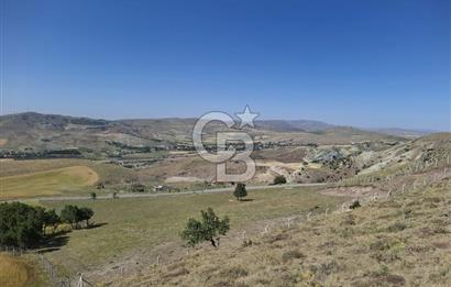 BEYNAMDA SATILIK 16.527 M2 TEK TAPU FIRSAT TARLA