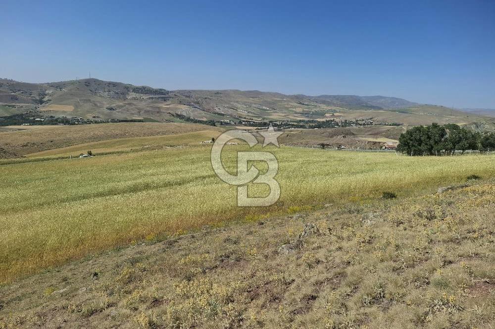 BEYNAMDA SATILIK 16.527 M2 TEK TAPU FIRSAT TARLA