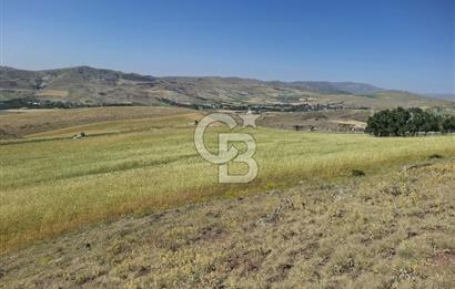 BEYNAMDA SATILIK 16.527 M2 TEK TAPU FIRSAT TARLA