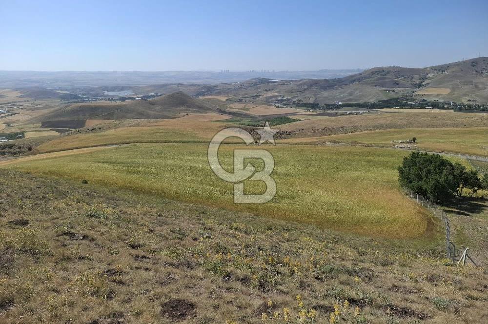 BEYNAMDA SATILIK 16.527 M2 TEK TAPU FIRSAT TARLA