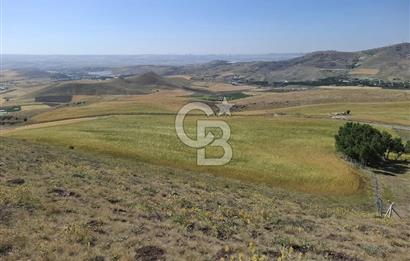 BEYNAMDA SATILIK 16.527 M2 TEK TAPU FIRSAT TARLA