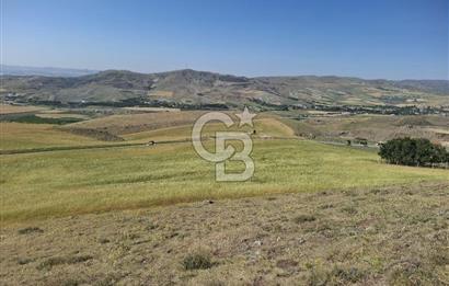 BEYNAMDA SATILIK 16.527 M2 TEK TAPU FIRSAT TARLA