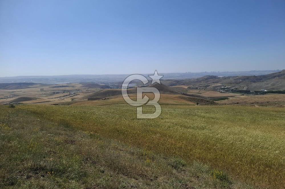 BEYNAMDA SATILIK 16.527 M2 TEK TAPU FIRSAT TARLA