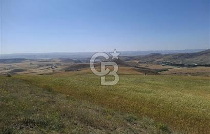 BEYNAMDA SATILIK 16.527 M2 TEK TAPU FIRSAT TARLA