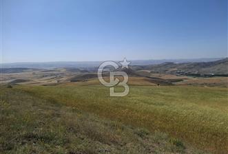 BEYNAMDA SATILIK 16.527 M2 TEK TAPU FIRSAT TARLA