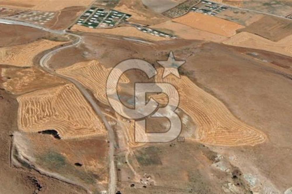 BEYNAMDA SATILIK 16.527 M2 TEK TAPU FIRSAT TARLA