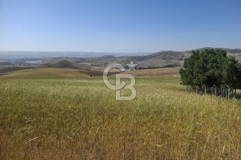 BEYNAMDA SATILIK 16.527 M2 TEK TAPU FIRSAT TARLA