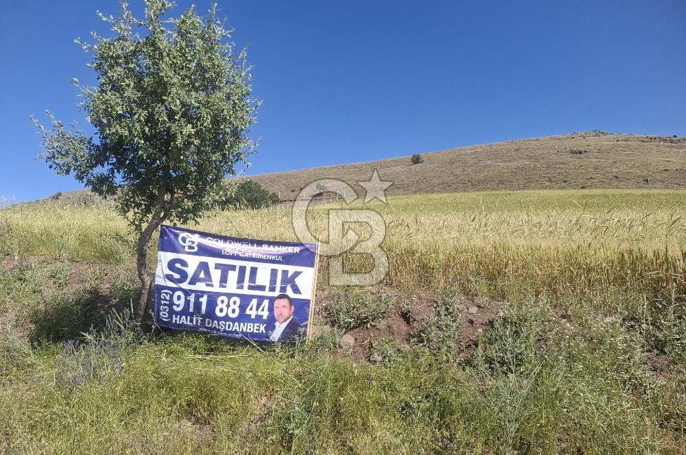 BEYNAMDA SATILIK 16.527 M2 TEK TAPU FIRSAT TARLA