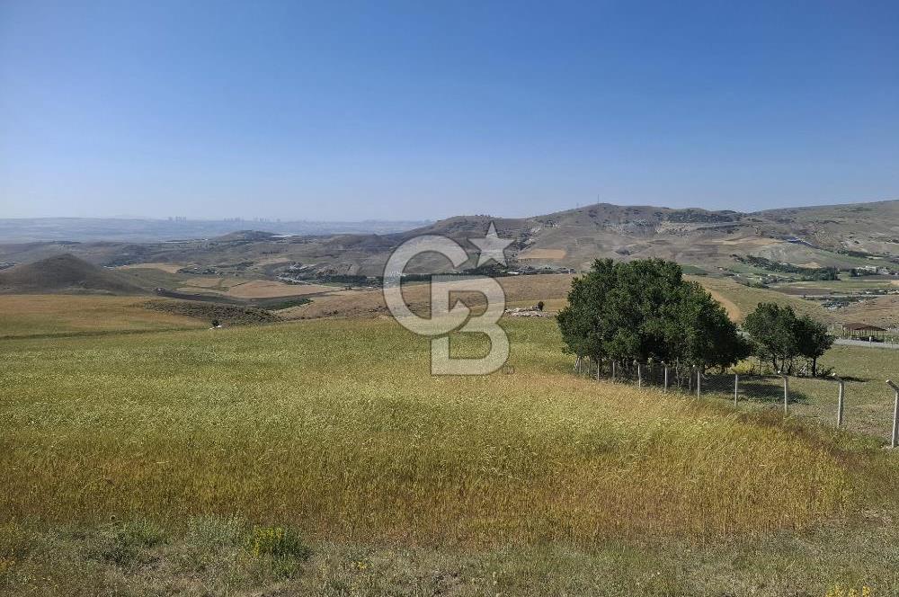 BEYNAMDA SATILIK 16.527 M2 TEK TAPU FIRSAT TARLA