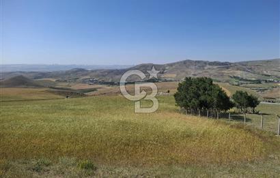 BEYNAMDA SATILIK 16.527 M2 TEK TAPU FIRSAT TARLA