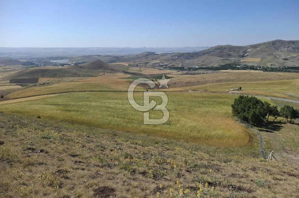 BEYNAMDA SATILIK 16.527 M2 TEK TAPU FIRSAT TARLA