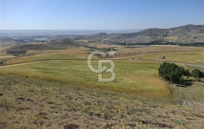 BEYNAMDA SATILIK 16.527 M2 TEK TAPU FIRSAT TARLA