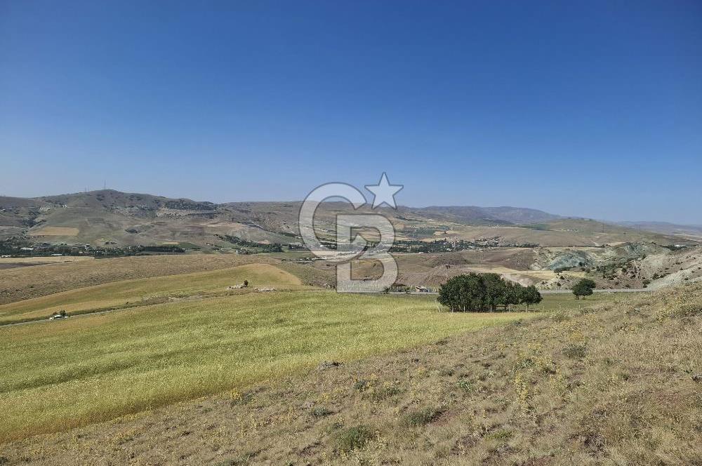 BEYNAMDA SATILIK 16.527 M2 TEK TAPU FIRSAT TARLA