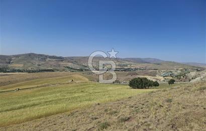 BEYNAMDA SATILIK 16.527 M2 TEK TAPU FIRSAT TARLA