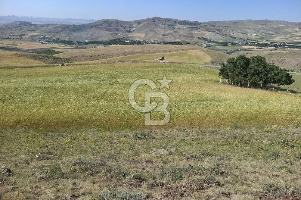 BEYNAMDA SATILIK 16.527 M2 TEK TAPU FIRSAT TARLA
