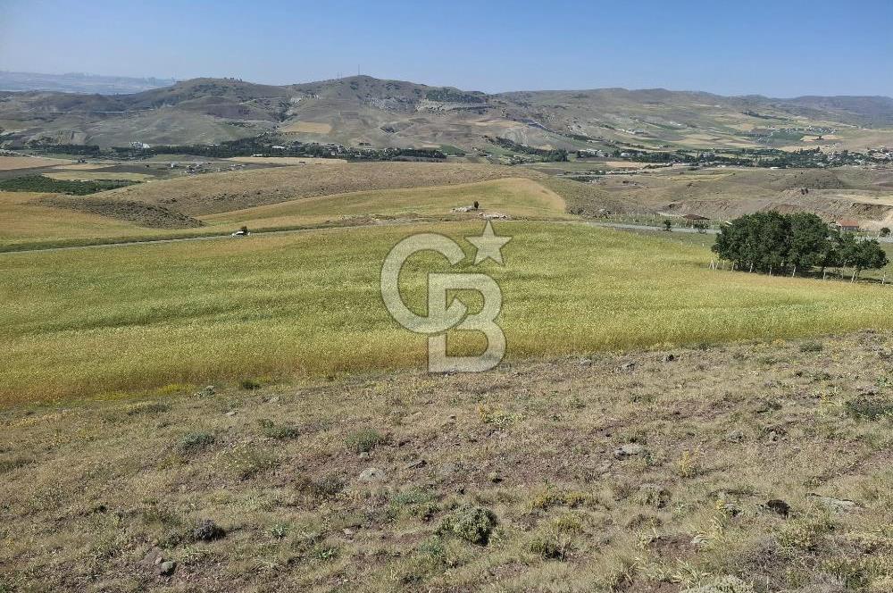 BEYNAMDA SATILIK 16.527 M2 TEK TAPU FIRSAT TARLA