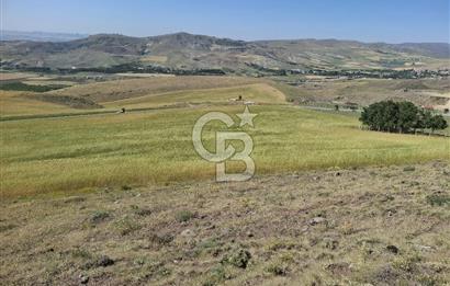 BEYNAMDA SATILIK 16.527 M2 TEK TAPU FIRSAT TARLA