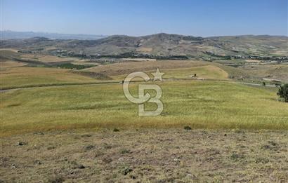 BEYNAMDA SATILIK 16.527 M2 TEK TAPU FIRSAT TARLA