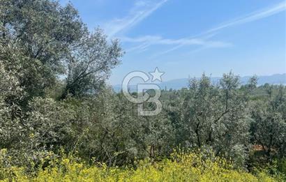 CB CLASS BURSA -ORHANGAZİ- AKHAREM 552 m² TARLA