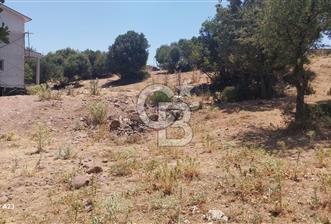 Çanakkale Ayvacık Budaklar Villa Arsası